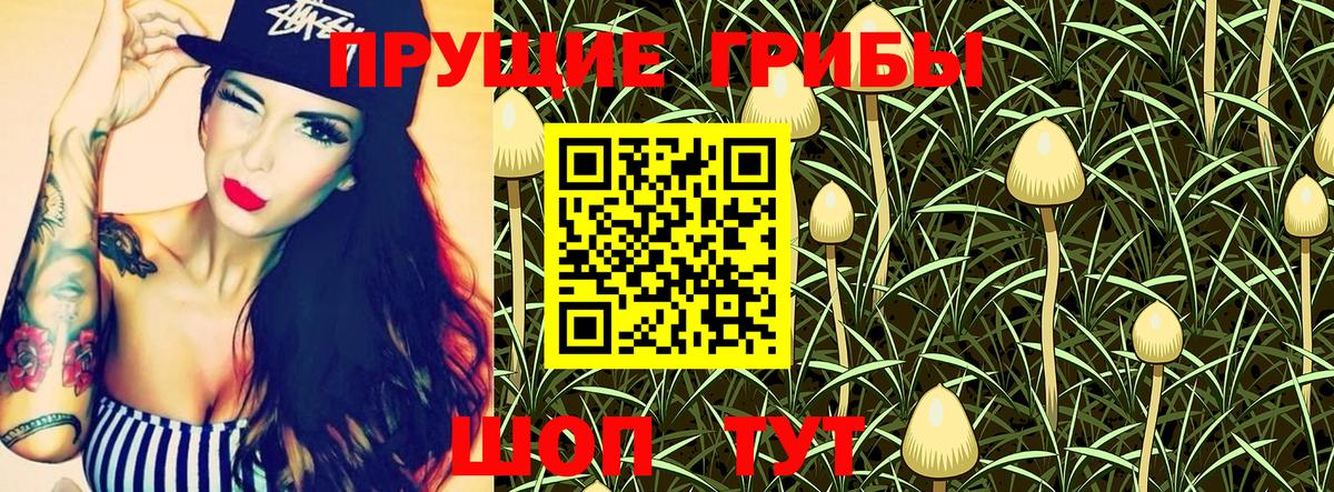 Галлюциногенные грибы Psilocybe  Псилоцибиновые грибы GOLDEN TEACHER  Вход с VPN  где продают   Черемхово 