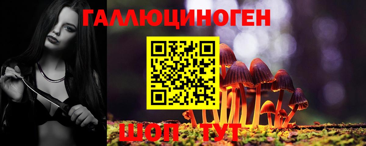 Псилоцибиновые грибы Magic Shrooms Черемхово