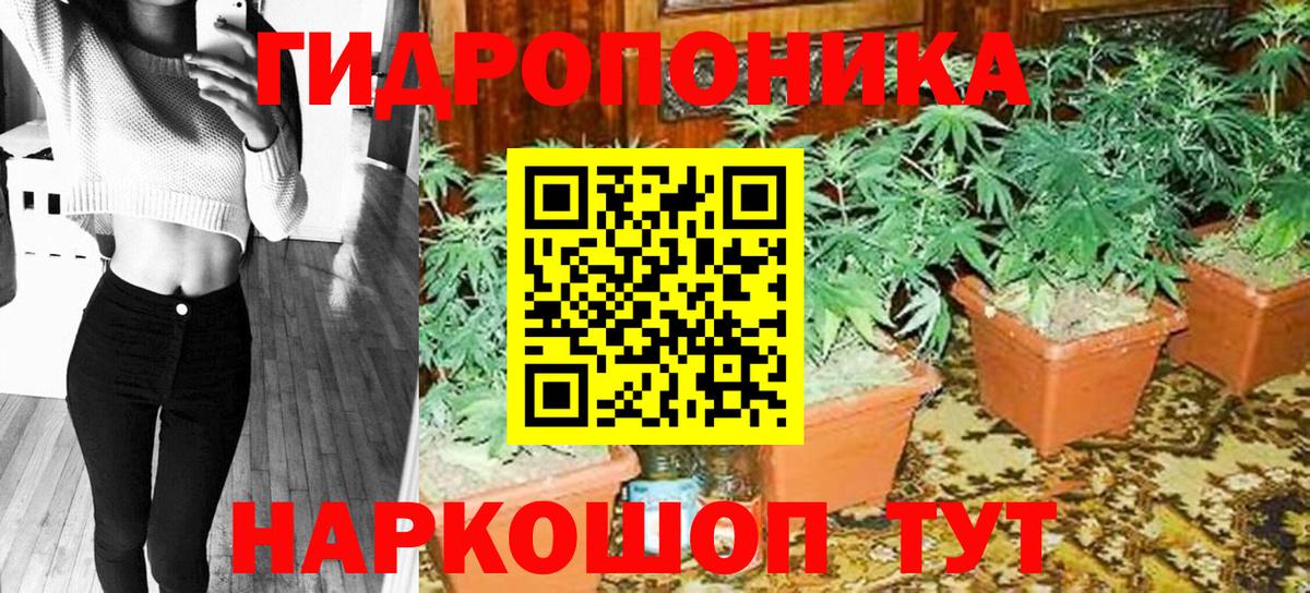 Черемхово  Канабис тримм  Вход с VPN  Шишки марихуана OG Kush 